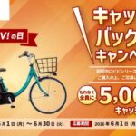 パナソニック　viviの日キャンペーン！6月のみの大チャンス！